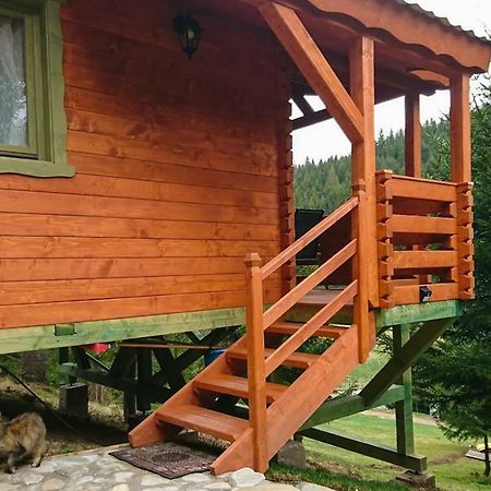 Cabana Casa Craita Zărneşti Eksteriør bilde