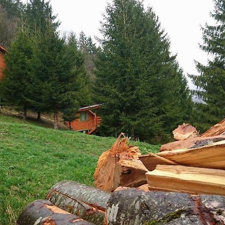 Cabana Casa Craita Zărneşti Eksteriør bilde