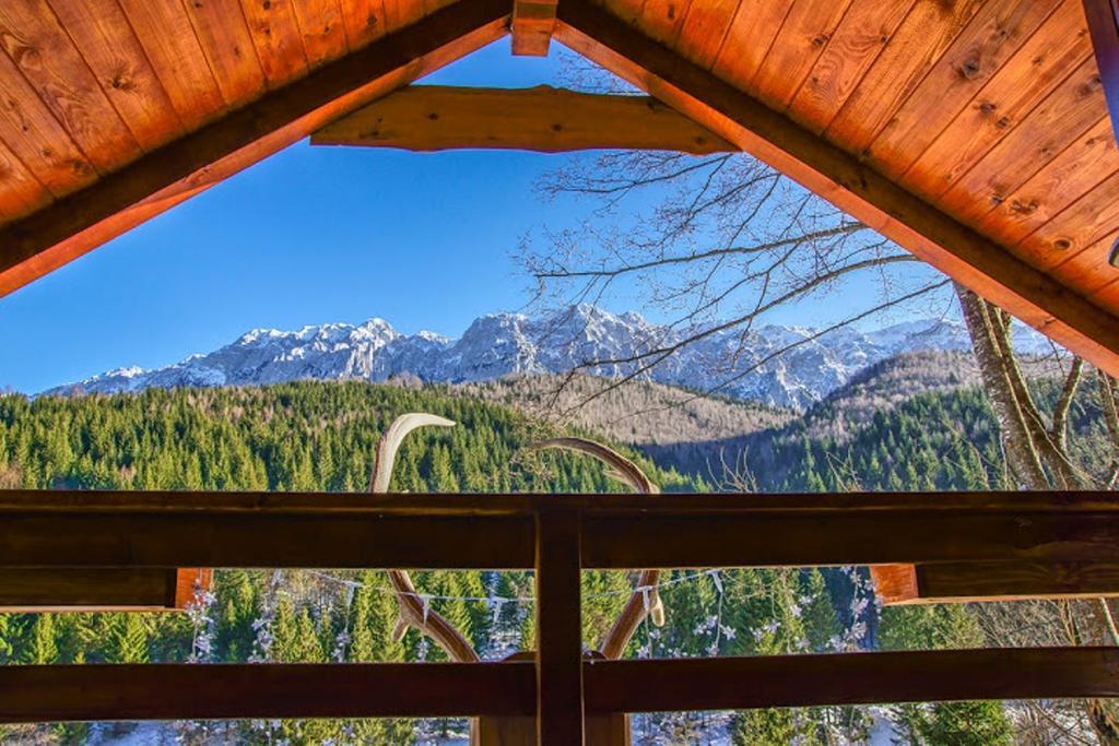 Cabana Casa Craita Zărneşti Rom bilde