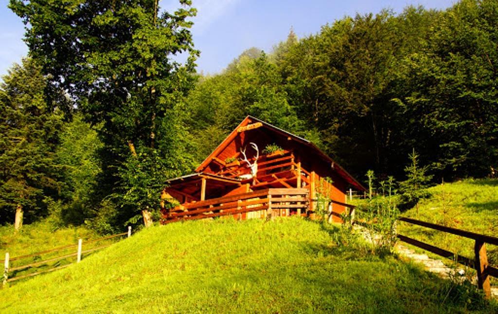 Cabana Casa Craita Zărneşti Rom bilde