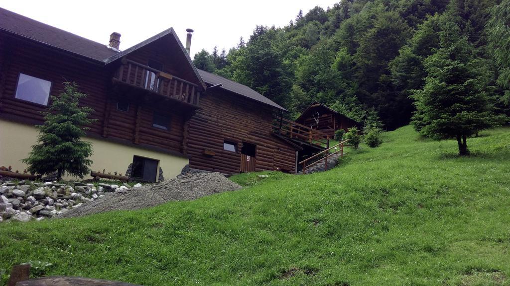 Cabana Casa Craita Zărneşti Eksteriør bilde