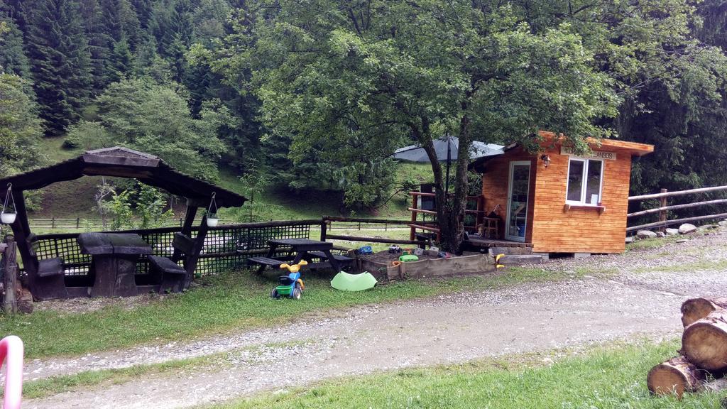 Cabana Casa Craita Zărneşti Eksteriør bilde