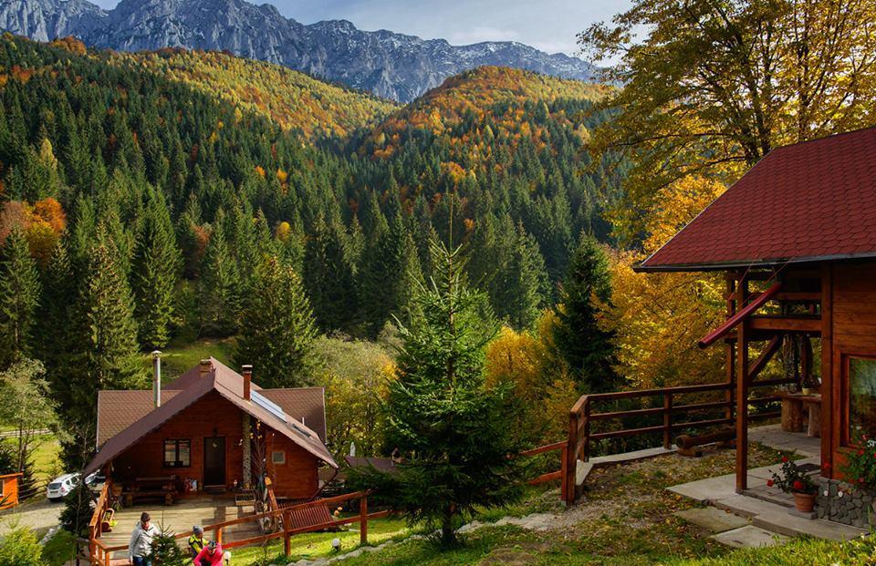 Cabana Casa Craita Zărneşti Eksteriør bilde