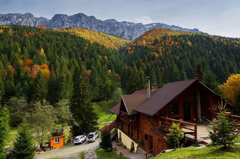 Cabana Casa Craita Zărneşti Eksteriør bilde