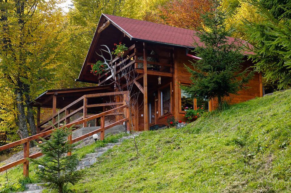 Cabana Casa Craita Zărneşti Eksteriør bilde