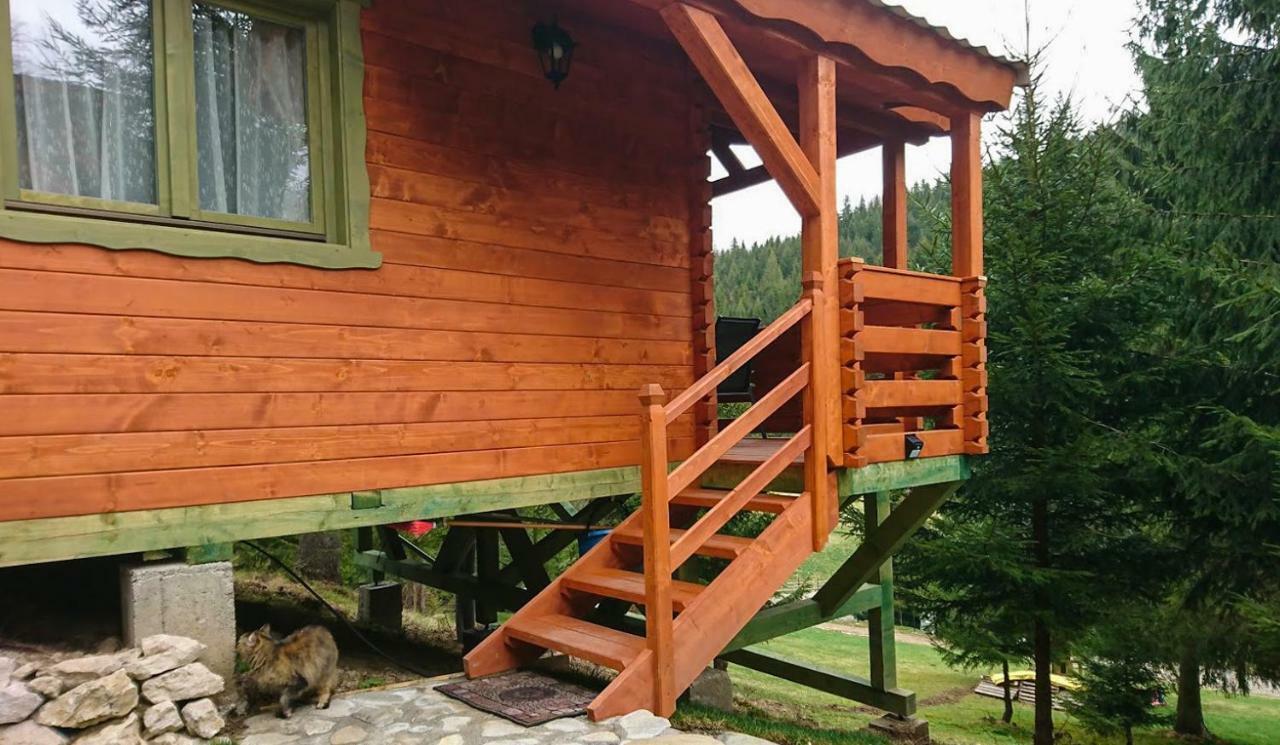 Cabana Casa Craita Zărneşti Eksteriør bilde