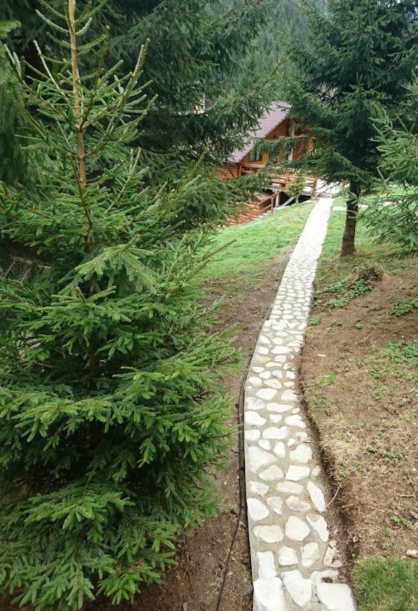 Cabana Casa Craita Zărneşti Eksteriør bilde