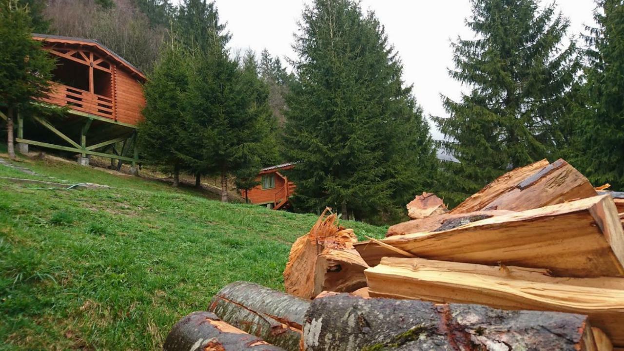 Cabana Casa Craita Zărneşti Eksteriør bilde