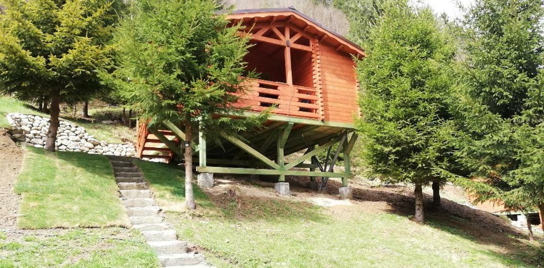 Cabana Casa Craita Zărneşti Eksteriør bilde